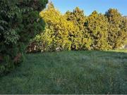 Terreno in vendita a Busto Garolfo MI