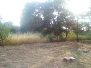Terreno in vendita a Cabras OR