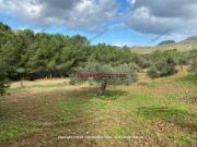 Terreno in vendita a Caccamo PA