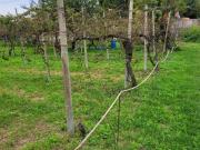 Terreno in vendita a Cadoneghe PD