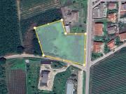 Terreno in vendita a Caianello CE
