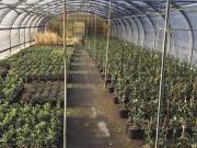 Terreno in vendita a Calatabiano CT