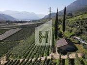 Terreno in vendita a Caldaro sulla Strada del Vino BZ