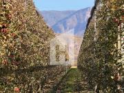 Terreno in vendita a Caldaro sulla Strada del Vino BZ