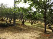 Terreno in vendita a Calenzano FI