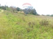 Terreno in vendita a Caltagirone CT