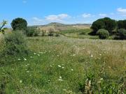 Terreno in vendita a Caltagirone CT