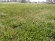Terreno in vendita a Calvagese della Riviera BS