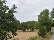 Terreno in vendita a Calvi BN