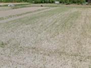 Terreno in vendita a Camaiore, Lido di Camaiore