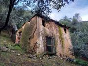 Terreno in vendita a Camaiore LU