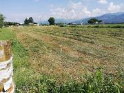 Terreno in vendita a Camaiore LU
