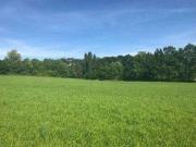 Terreno in vendita a Camisano Vicentino VI