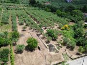 Terreno in vendita a Campagna SA