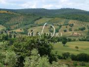 Terreno in vendita a Campagnatico GR