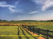 Terreno in vendita a Campi Bisenzio FI