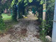 Terreno in vendita a Campiglia Marittima LI