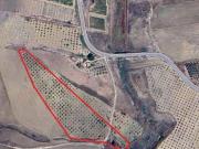 Terreno in vendita a Campobello di Licata AG