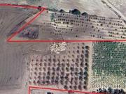 Terreno in vendita a Campobello di Licata AG