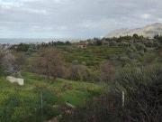 Terreno in vendita a Campofelice di Roccella PA