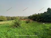 Terreno in vendita a Campofelice di Roccella PA