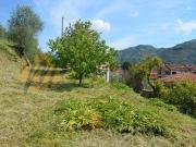 Terreno in vendita a Camporosso IM