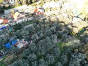 Terreno in vendita a Camporosso IM