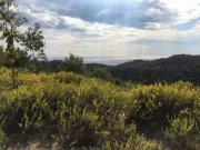 Terreno in vendita a Camporosso IM