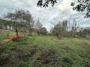 Terreno in vendita a Canale Monterano RM