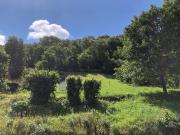 Terreno in vendita a Canzo CO