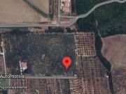 Terreno in vendita a Capaccio Paestum SA