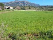 Terreno in vendita a Capaccio Paestum SA