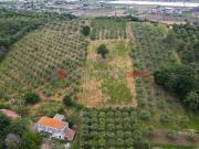 Terreno in vendita a Capaccio Paestum SA