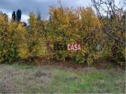 Terreno in vendita a Capannoli PI