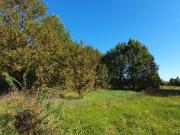 Terreno in vendita a Capannori LU