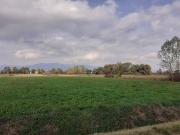 Terreno in vendita a Capannori LU