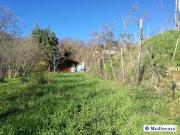 Terreno in vendita a Caprarola VT