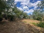 Terreno in vendita a Capriglia Irpina AV