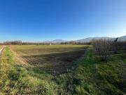 Terreno in vendita a Caraglio CN