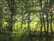 Terreno in vendita a Carbonera TV