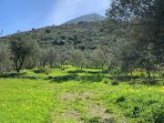 Terreno in vendita a Carini PA