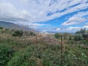 Terreno in vendita a Carini PA