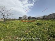 Terreno in vendita a Carini PA