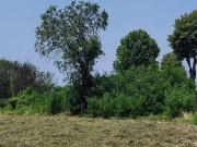 Terreno in vendita a Carmagnola TO