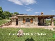 Terreno in vendita a Carmignano PO