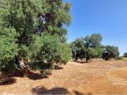 Terreno in vendita a Carovigno BR