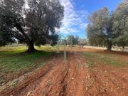 Terreno in vendita a Carovigno BR