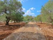 Terreno in vendita a Carovigno BR