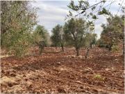 Terreno in vendita a Carovigno BR