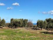 Terreno in vendita a Carovigno BR